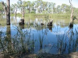 WANTED Farm Cottage/ House to Lease