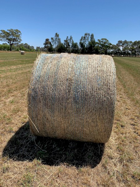 Rye Grass Mix 5 x 4 Round Bales