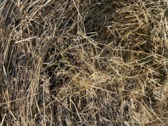 Rye Grass Mix 5 x 4 Round Bales
