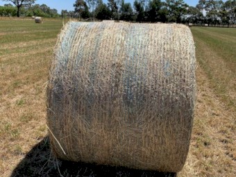Rye Grass Mix 5 x 4 Round Bales