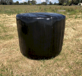 91 x Pasture/Rye Clover Silage