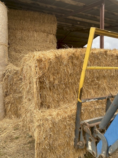 100mt Organic Oaten Hay 600kg 8x4x3 Bales (20/21)