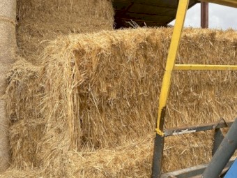 100mt Organic Oaten Hay 600kg 8x4x3 Bales (20/21)