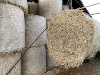 Organic Oaten round bales