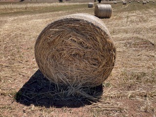 Wheaten Hay - New Season
