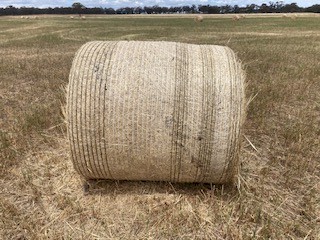 Wheaten Hay - New Season