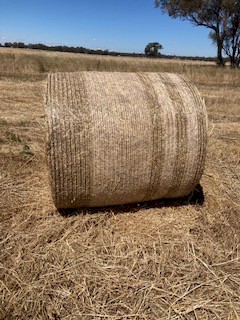 Oaten Vetch Hay - New Season