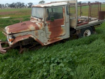 Wanted TOYOTA LANDCRUISER