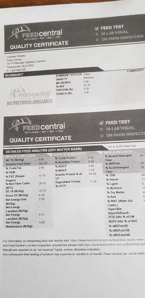 Oaten Hay Shedded 2020 season