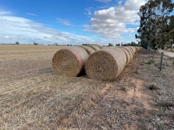 B1 Oaten Hay Round Bales Season 2021