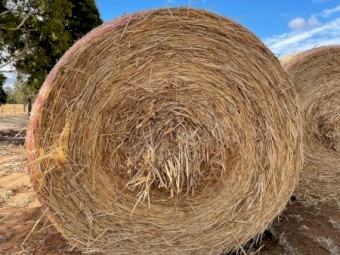 B1 Oaten Hay Round Bales Season 2021