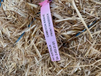 B1 Oaten Hay Round Bales Season 2021