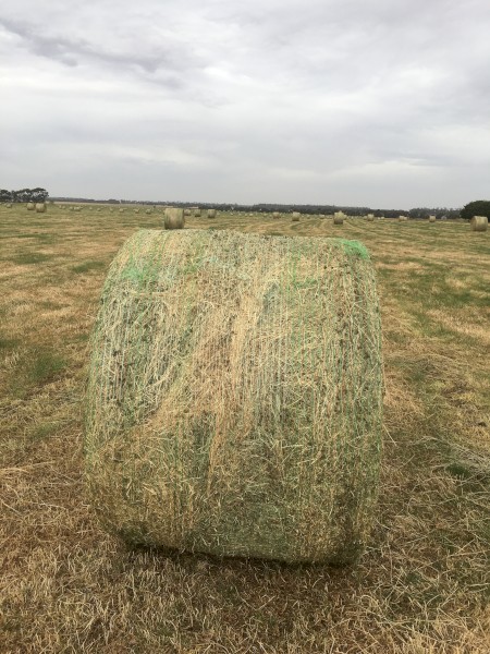 Hay Sales 