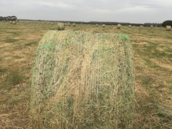 Hay Sales 