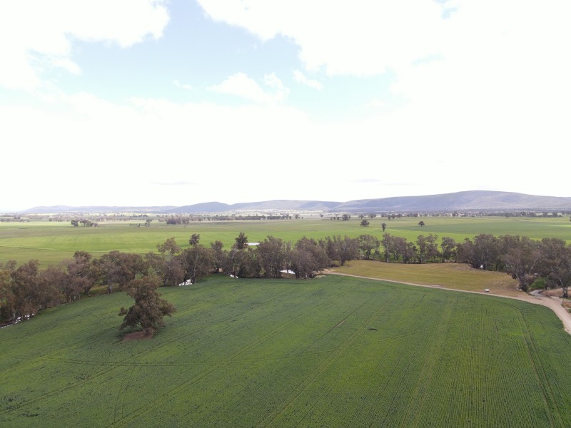 Expressions of interest - Mixed Farming and Cropping Operation - Lease or Sharefarm.