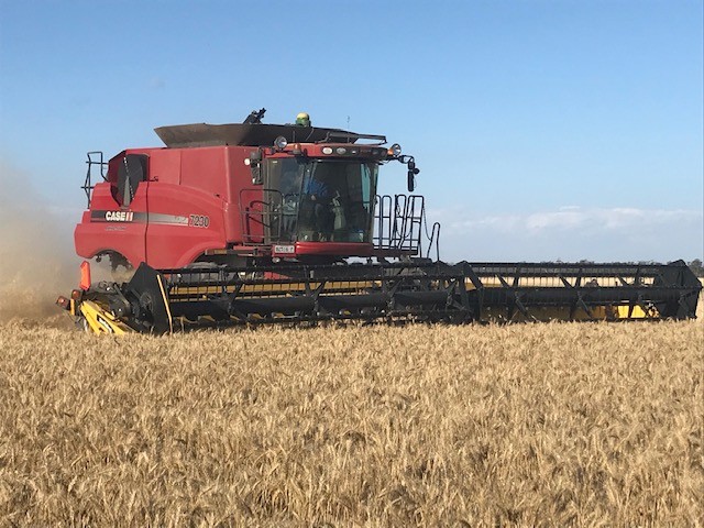 2012 Case IH 7230 Header & 36ft Honeybee Front