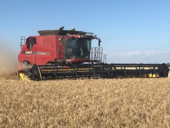 2012 Case IH 7230 Header & 36ft Honeybee Front