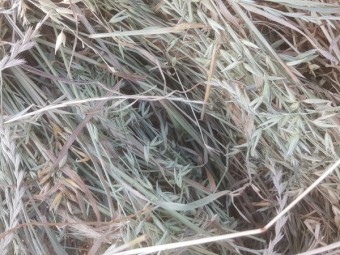 Oaten and Ryegrass Hay 5x4 Round Bales