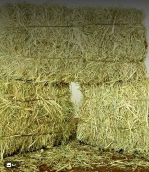Top Quality Oaten Lucerne Mix Hay 5x3x4 bales