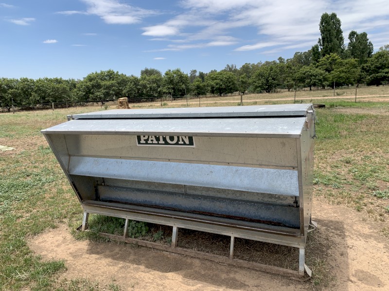 Paton sheep feeder 