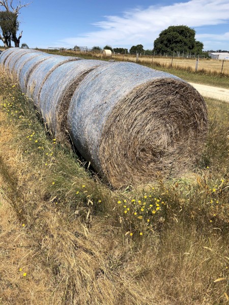 Pasture Hay 5 x 4 Round Bales 