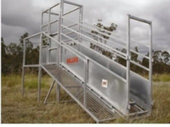 Cattle Ramp