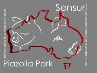 White Alpaca Herd Guards -  young, robust, bold and well bred.  Bond now for Autumn lambs!