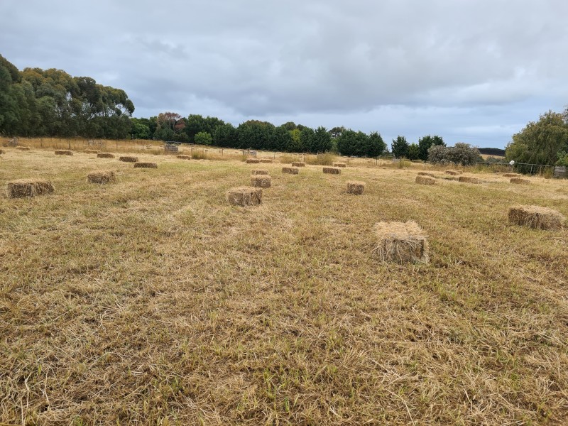 Small Bales
