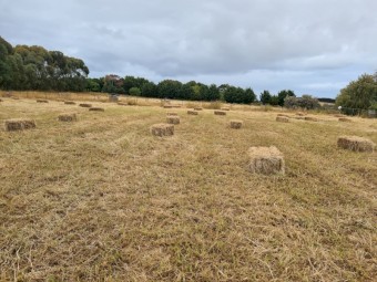 Small Bales