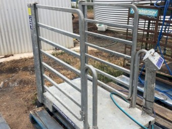 Peak Hill Sheep Handler