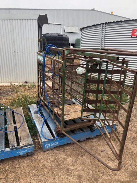 Prattley 2 way sheep scales and draft | Farm Tender