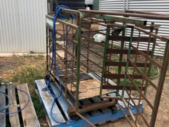 Prattley 2 way sheep scales and draft 