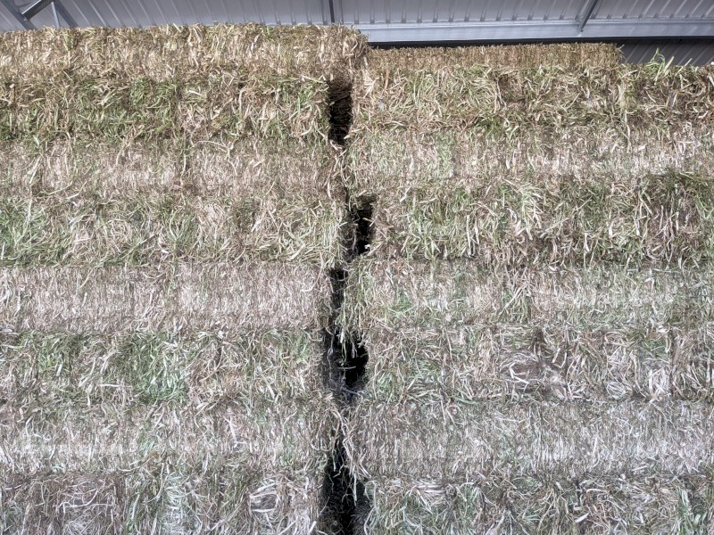 Clover Hay - Small Squares and Rounds