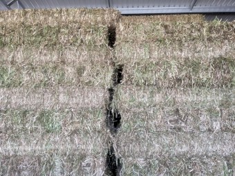 Clover Hay - Small Squares and Rounds