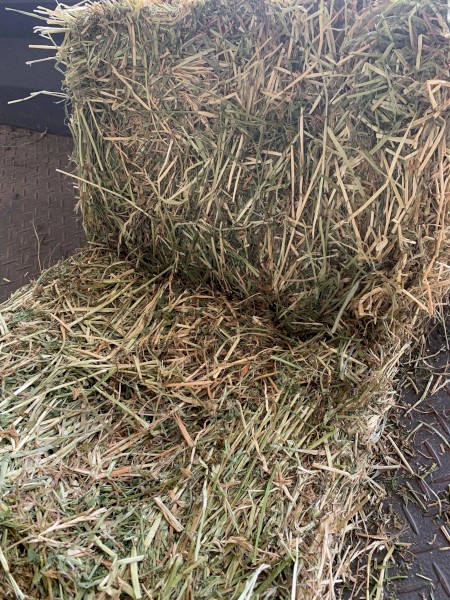 25/75 Lucerne and Pasture Small Squares