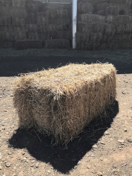 Small Hay Bales