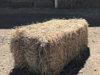 Small Hay Bales