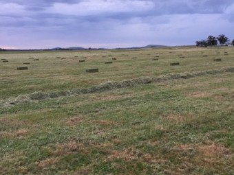 Small Hay Bales