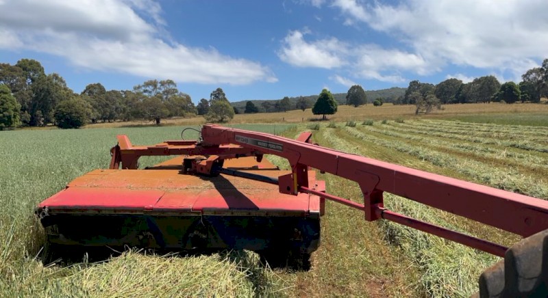 Massey Ferguson  (Heston) Mower Conditioner 12ft cut