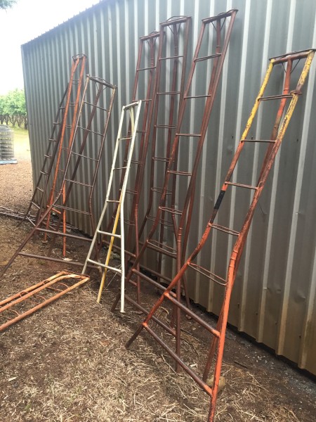 FRUIT PICKING  LADDERS