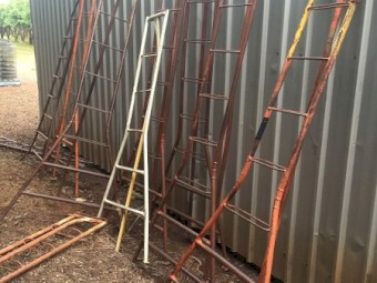 FRUIT PICKING  LADDERS