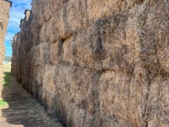 Vetch Hay 600kg 8x4x3 Bales