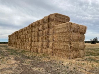 New Season Oaten Hay 8x4x3 Bales