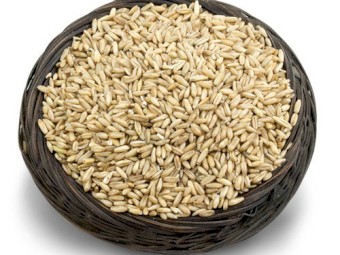 Organic Rolled Best Selling Forage Oat For Human Consumption