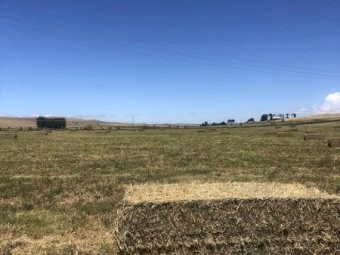 Lucerne Oaten Mix Hay