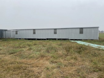 Large Sheep/ Shearing Shed