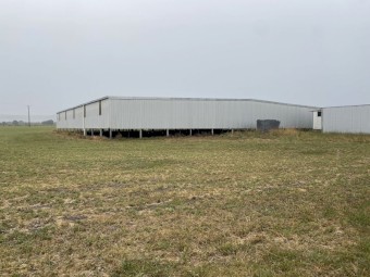 Large Sheep/ Shearing Shed