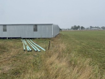 Large Sheep/ Shearing Shed