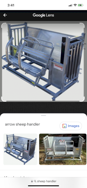 Arrow Quip sheep handler