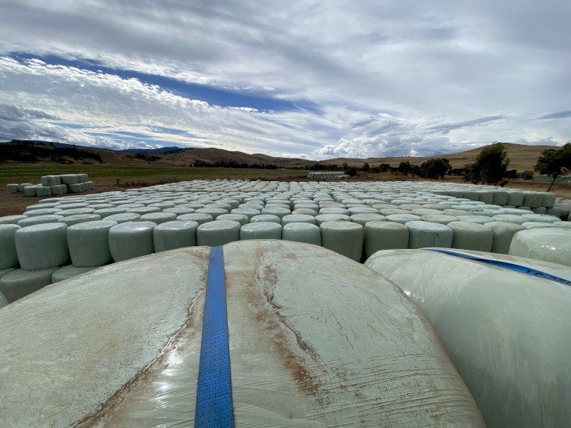 Lucerne Silage STATEWIDE DELIVERY
